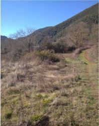 finca rústica en anguiano