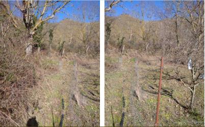 finca rústica en anguiano