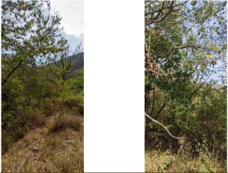 finca rústica en anguiano