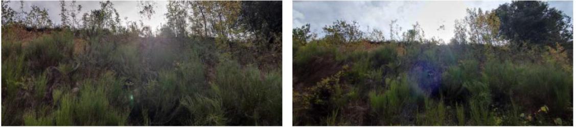 finca rústica en anguiano