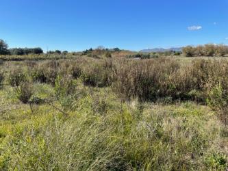 finca rústica en montaverner