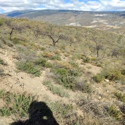 finca rústica en ugijar